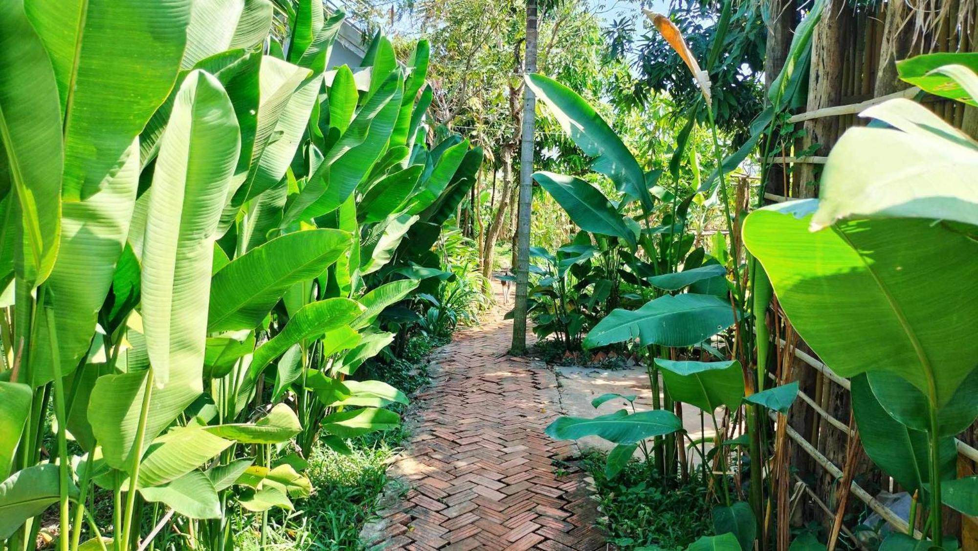 Urban Farmhouse Siem Reap Zewnętrze zdjęcie