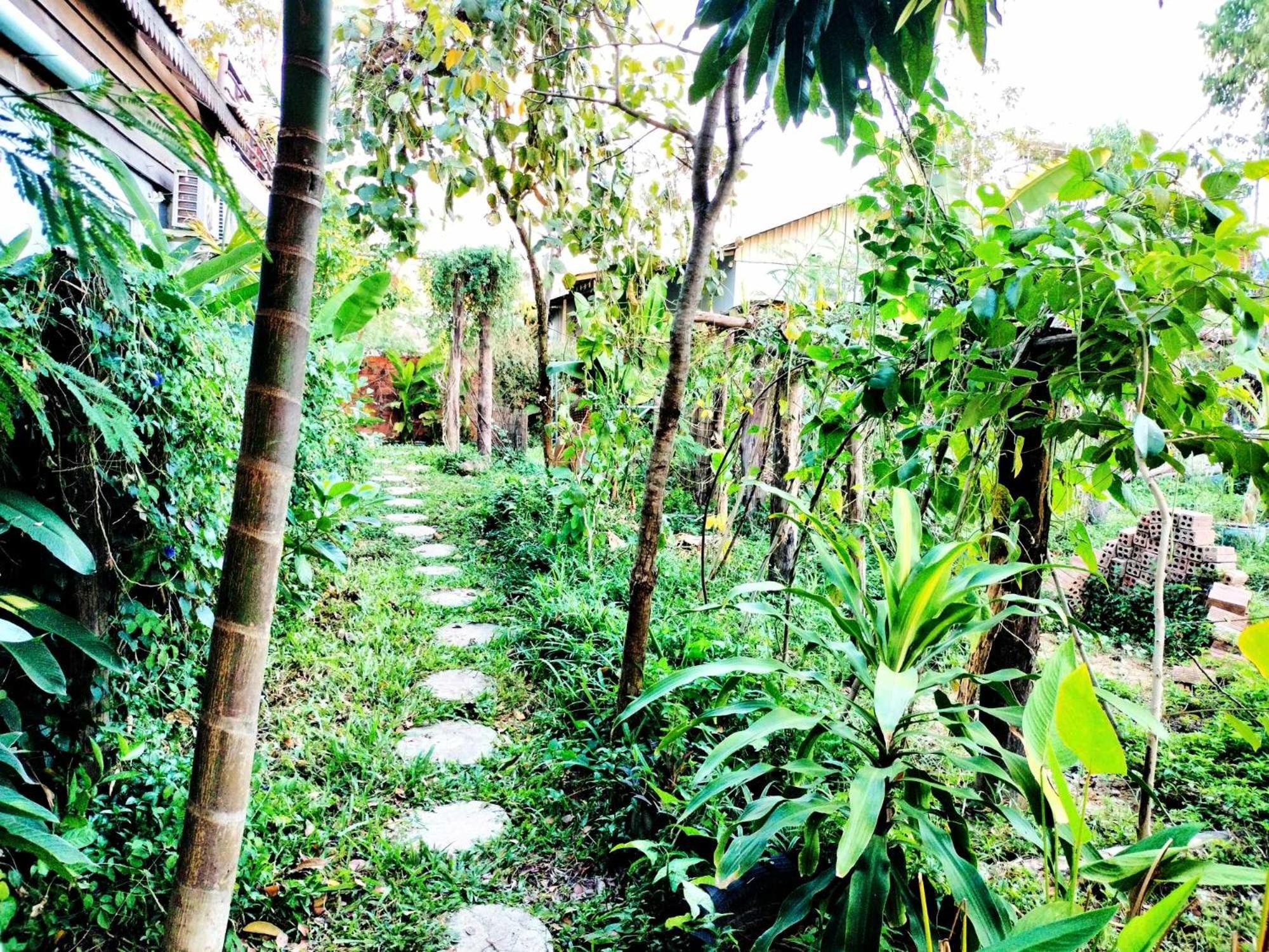Urban Farmhouse Siem Reap Zewnętrze zdjęcie