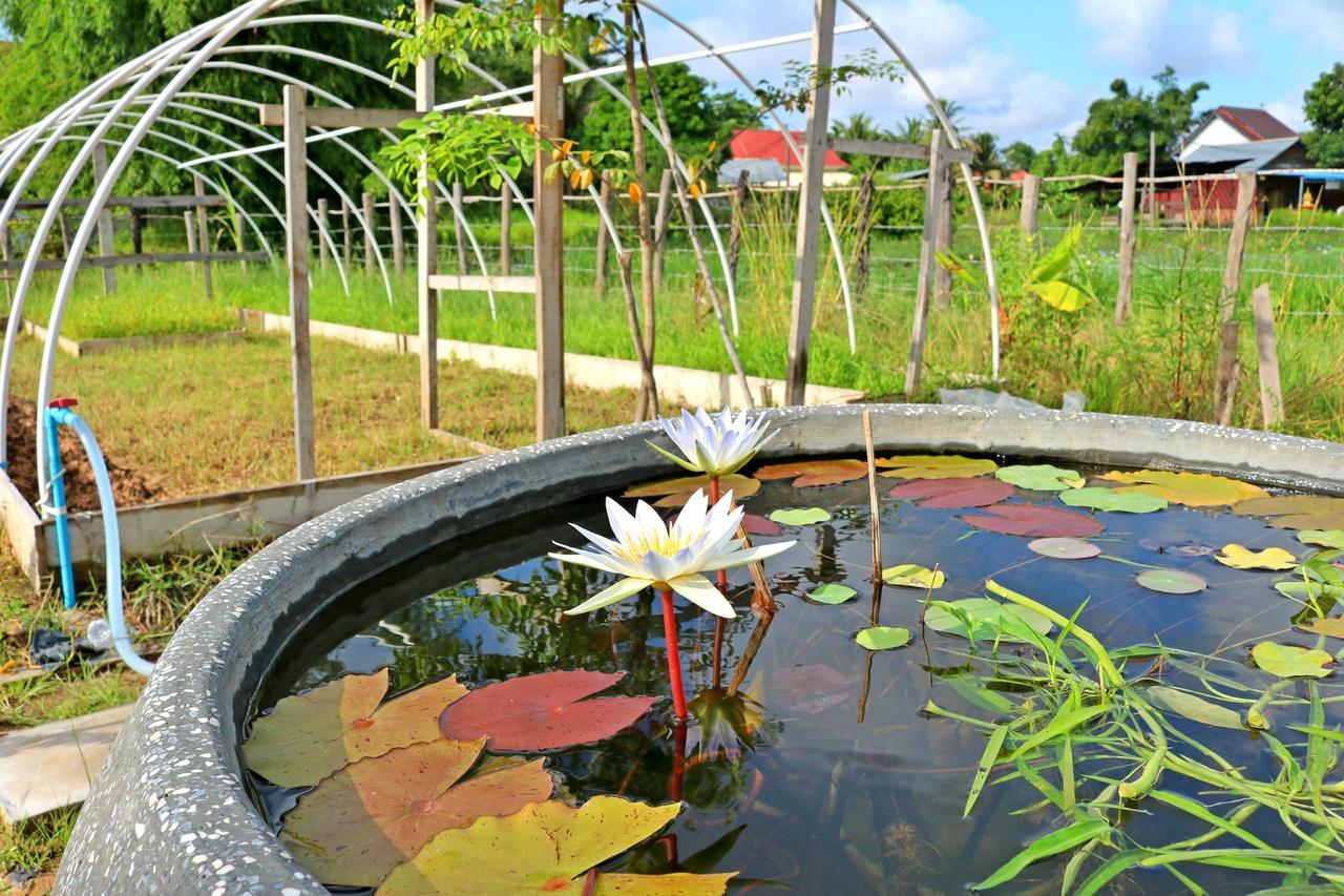 Urban Farmhouse Siem Reap Zewnętrze zdjęcie